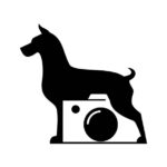 isolated negative space dog camera clip art icon vector